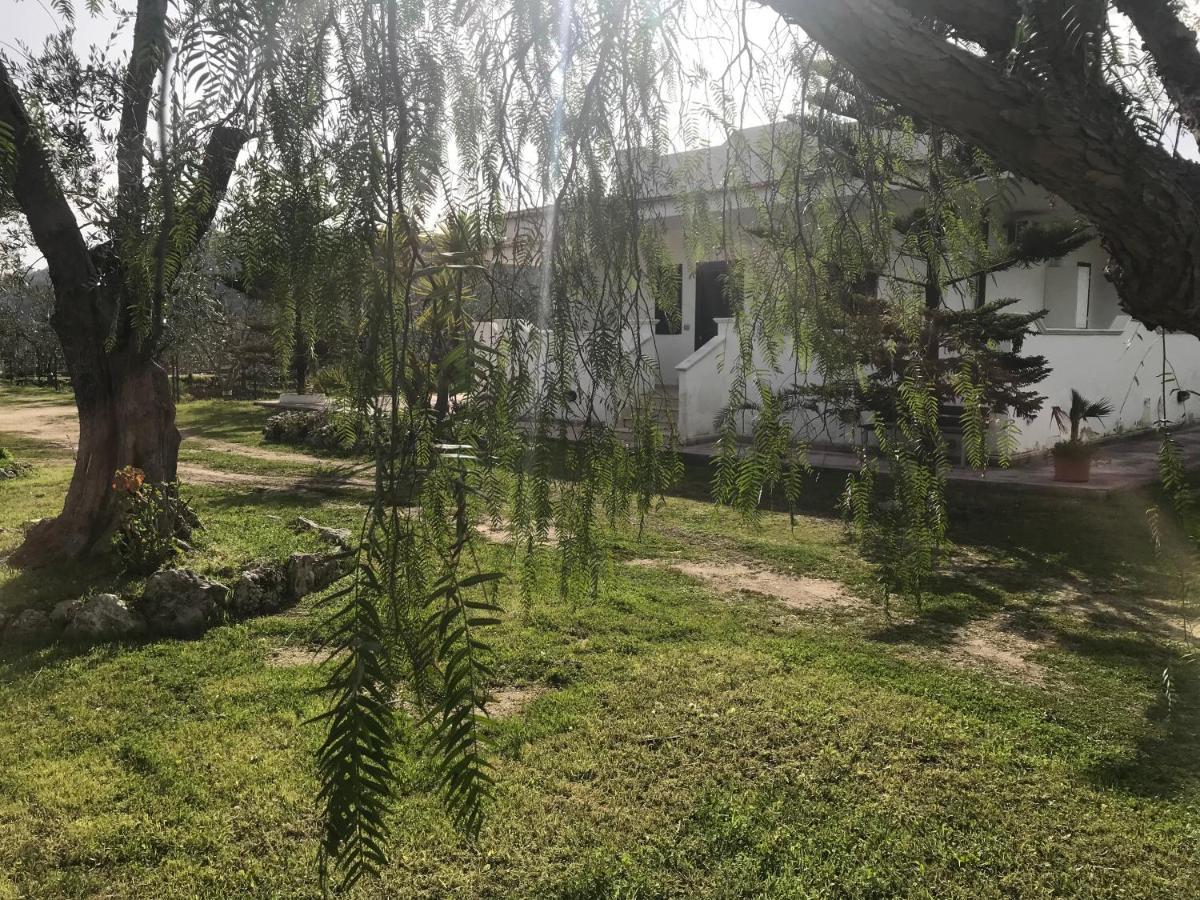 Villa Angela Case Vacanza เวียสเต ภายนอก รูปภาพ